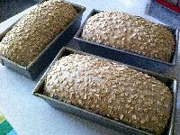 photo of Oatmeal Bread