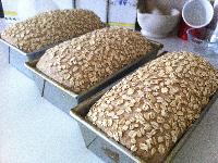 photo of Whole Wheat Bread with Rolled Oats